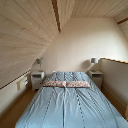 Studio Cosy A La Roche-posay, A 70m Des Thermes, Wifi, Animaux Acceptes, Ideal Pour 2 Personnes - Fr-1-541-55 Apartament *