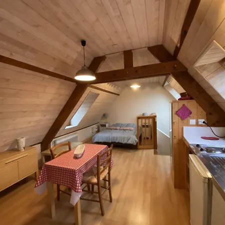 Apartament Studio Cosy A La Roche-posay, A 70m Des Thermes, Wifi, Animaux Acceptes, Ideal Pour 2 Personnes - Fr-1-541-55