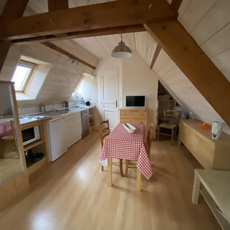 Studio Cosy A La Roche-posay, A 70m Des Thermes, Wifi, Animaux Acceptes, Ideal Pour 2 Personnes - Fr-1-541-55 La Roche-Posay